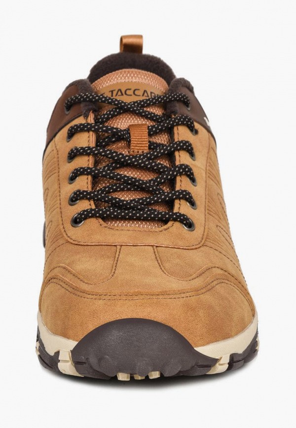 фото Кроссовки t.taccardi