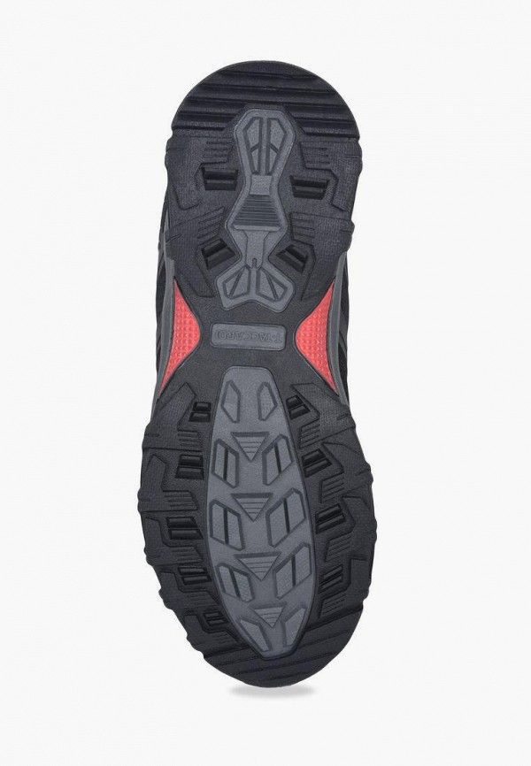 фото Кроссовки t.taccardi