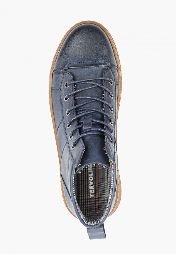 фото Кеды tervolina