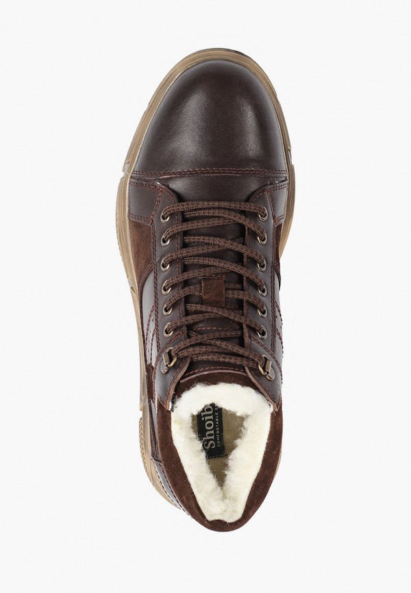 фото Ботинки shoiberg