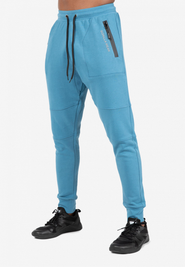 

Брюки спортивные Gorilla Wear, Голубой, Newark