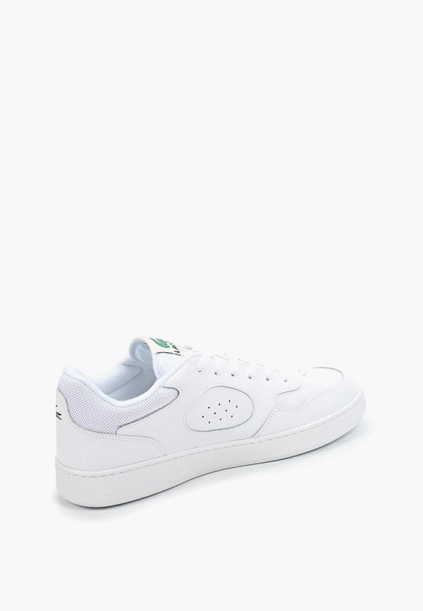 фото Кеды lacoste