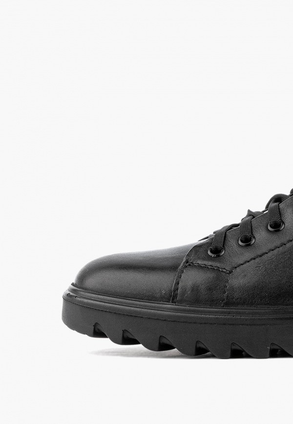 фото Кеды zenden