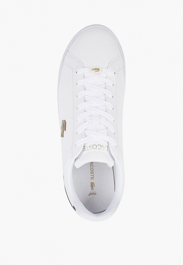 фото Кеды lacoste