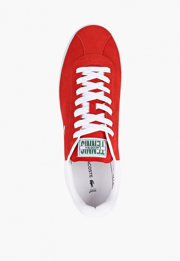 фото Кеды lacoste