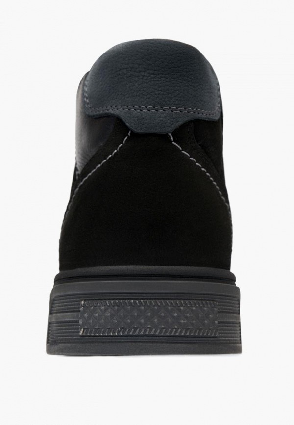 фото Кеды alessio nesca