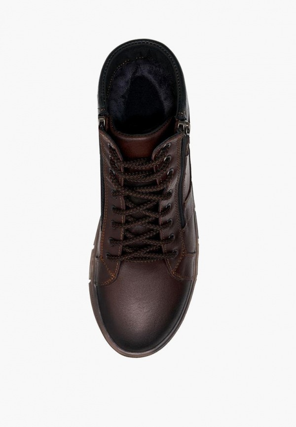 фото Кеды alessio nesca