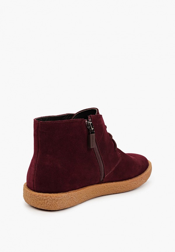 фото Ботинки vitacci