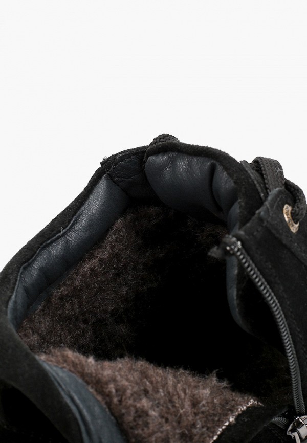 фото Кеды shoiberg