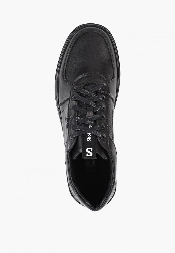 фото Кеды shoiberg