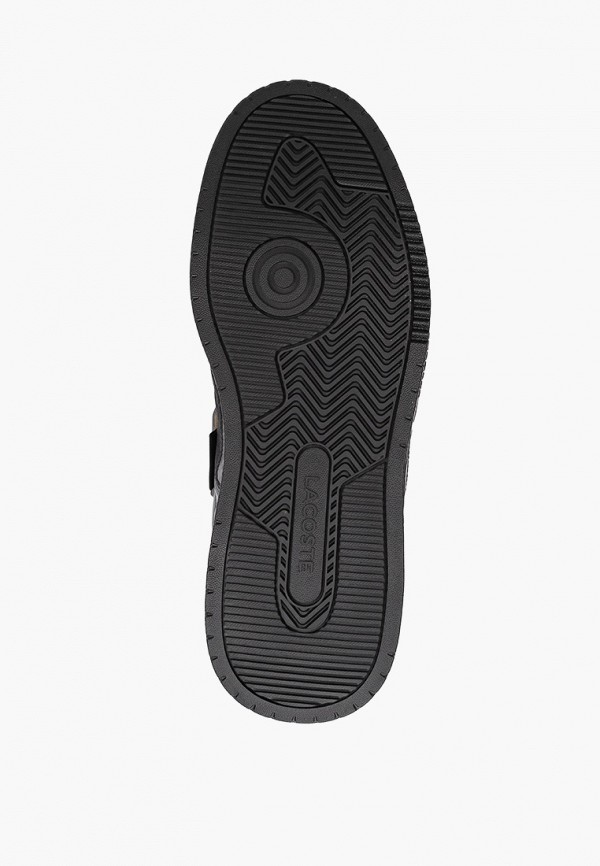 фото Кроссовки lacoste