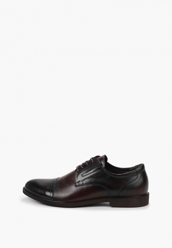 Туфли Shoiberg 7010₽