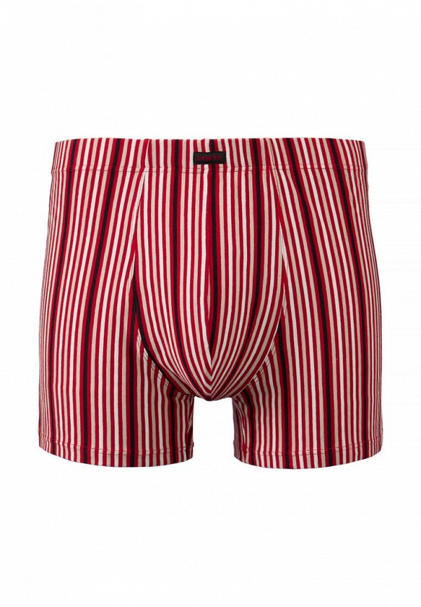 Трусы Lowry Collection 1881₽