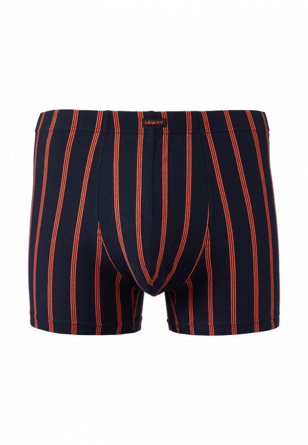 Трусы Lowry Collection 1881₽
