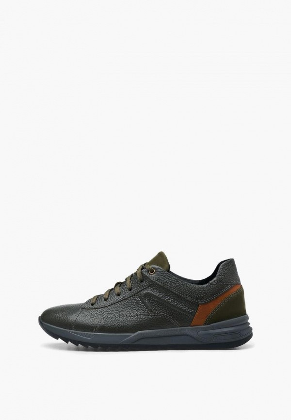 Кроссовки Alessio Nesca 4504₽
