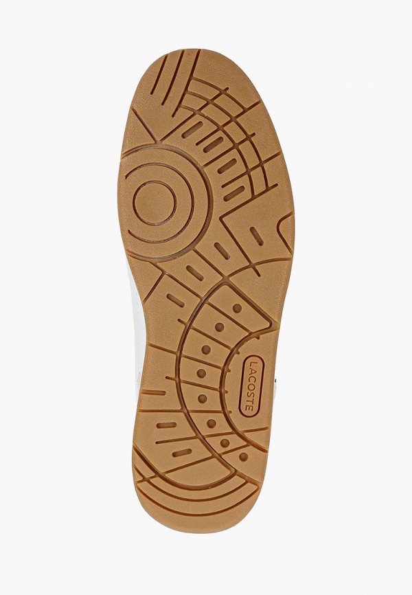 фото Кеды lacoste