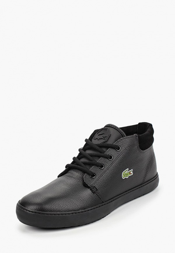 фото Кеды lacoste
