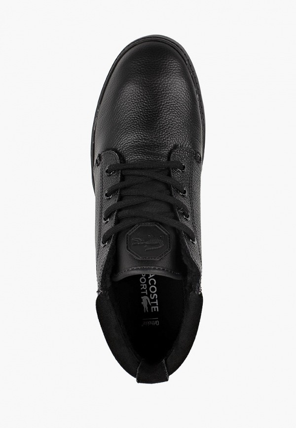 фото Кеды lacoste
