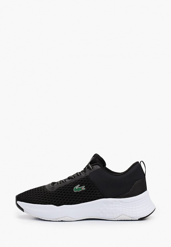 фото Кроссовки lacoste