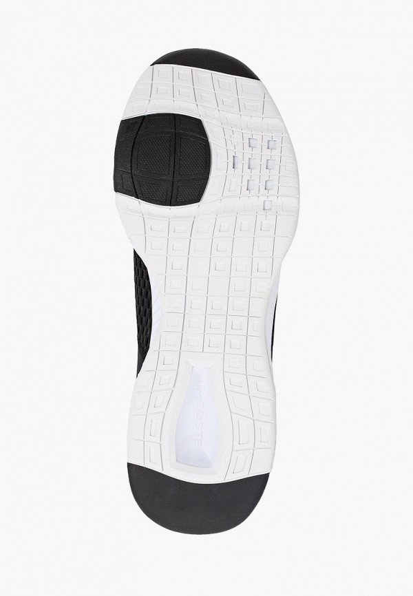 фото Кроссовки lacoste