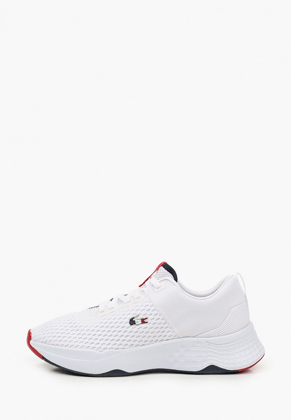 фото Кроссовки lacoste