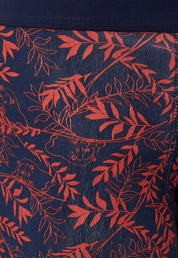 фото Трусы 3 шт. zolla