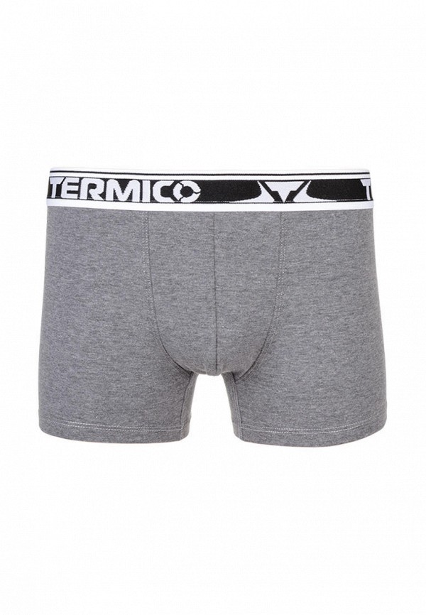 

Трусы Termico, Серый, Termico MP002XM0QUI7