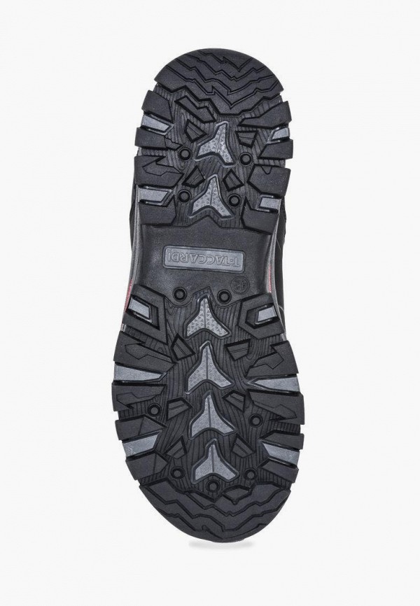 фото Ботинки t.taccardi