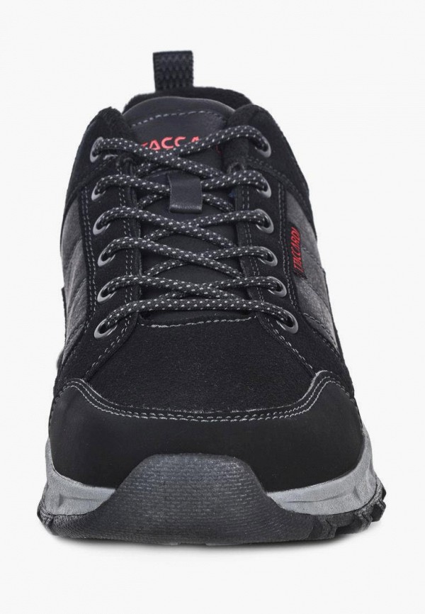 фото Кроссовки t.taccardi