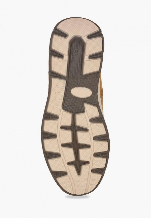 фото Ботинки t.taccardi