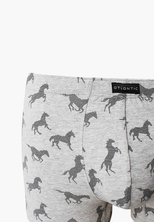 

Трусы Atlantic, Серый, Big Horses