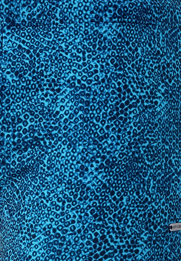 фото Плавки atlantic