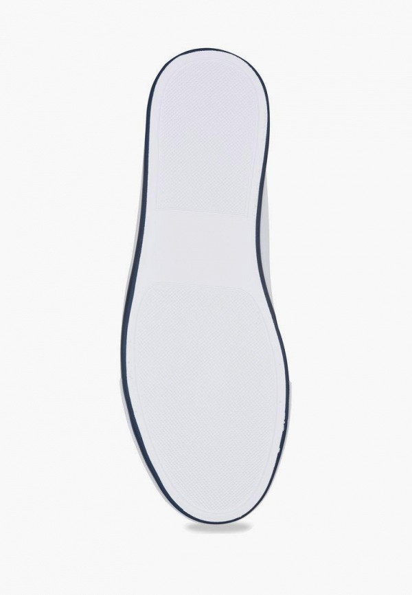 фото Кеды t.taccardi