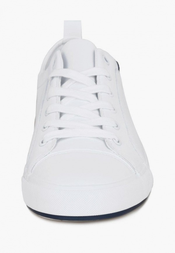 фото Кеды t.taccardi