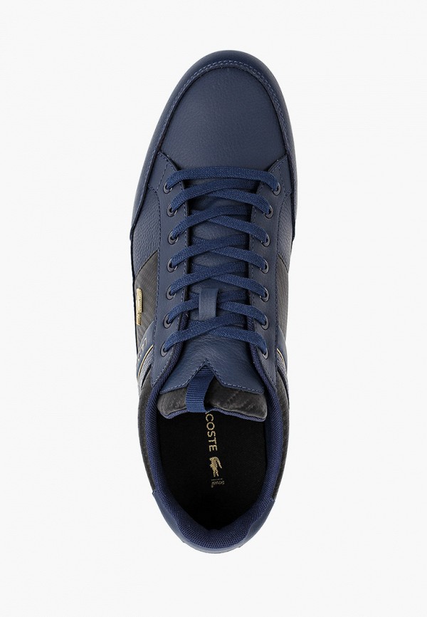 фото Кроссовки lacoste