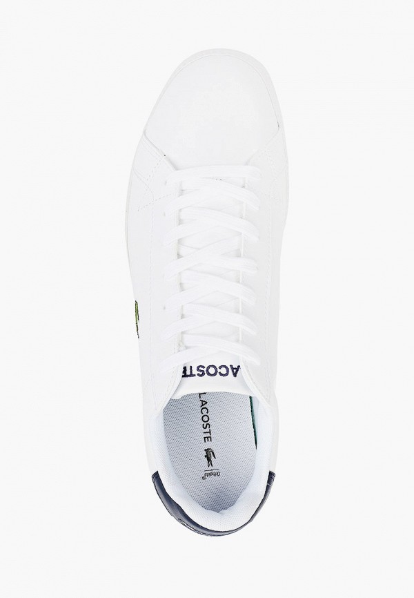 фото Кеды lacoste