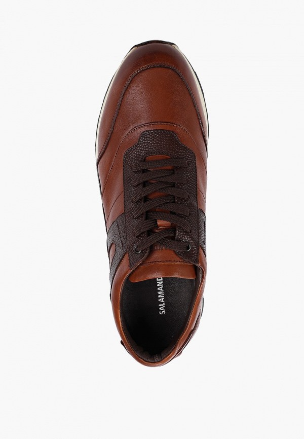 фото Кроссовки salamander