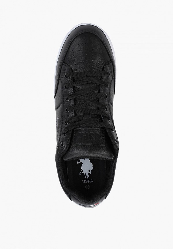 фото Кеды u.s. polo assn.