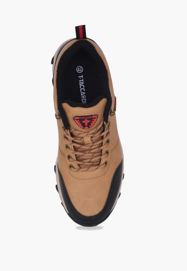 фото Кроссовки t.taccardi