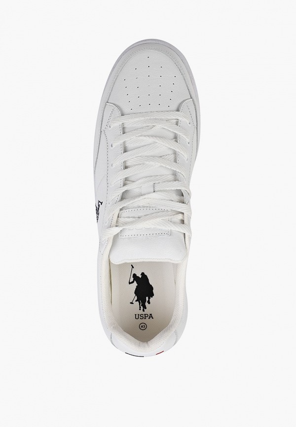 фото Кеды u.s. polo assn.
