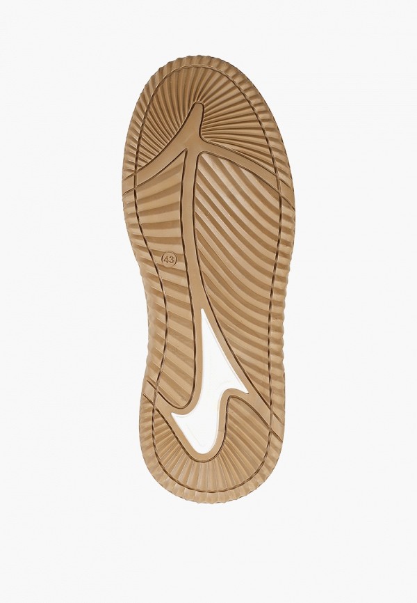 фото Кеды francesco donni