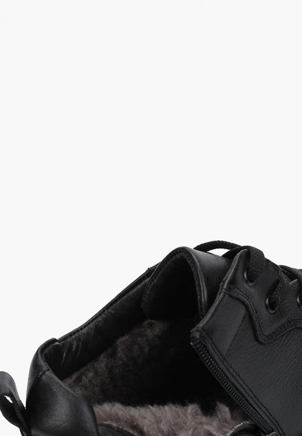 фото Кеды francesco donni