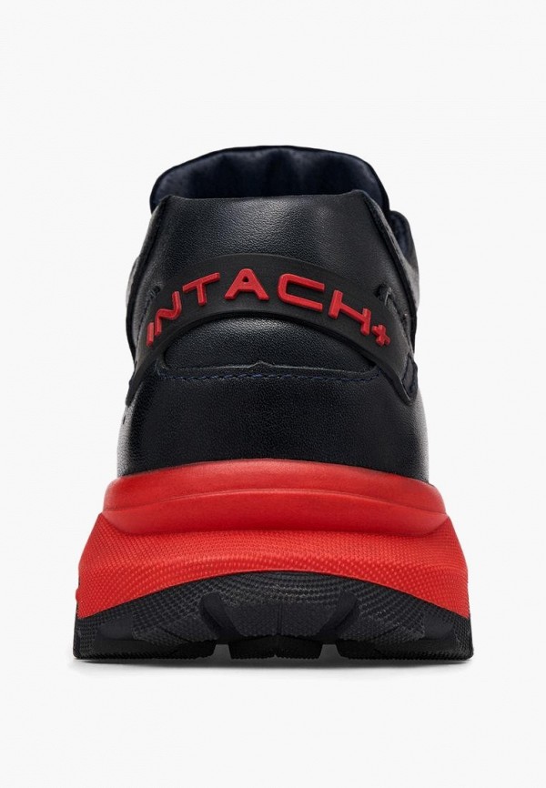 фото Кроссовки alessio nesca