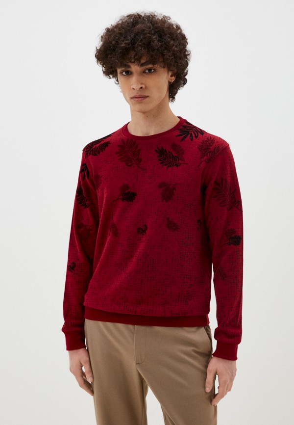 фото Свитшот fabia monti