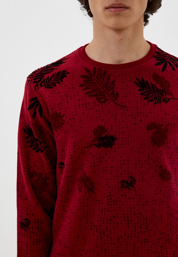 фото Свитшот fabia monti