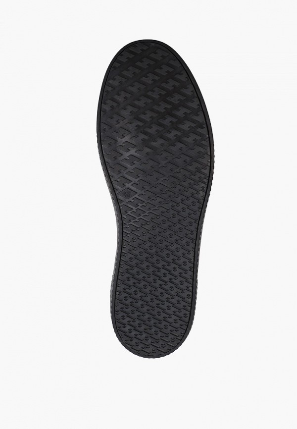 фото Кеды shoiberg