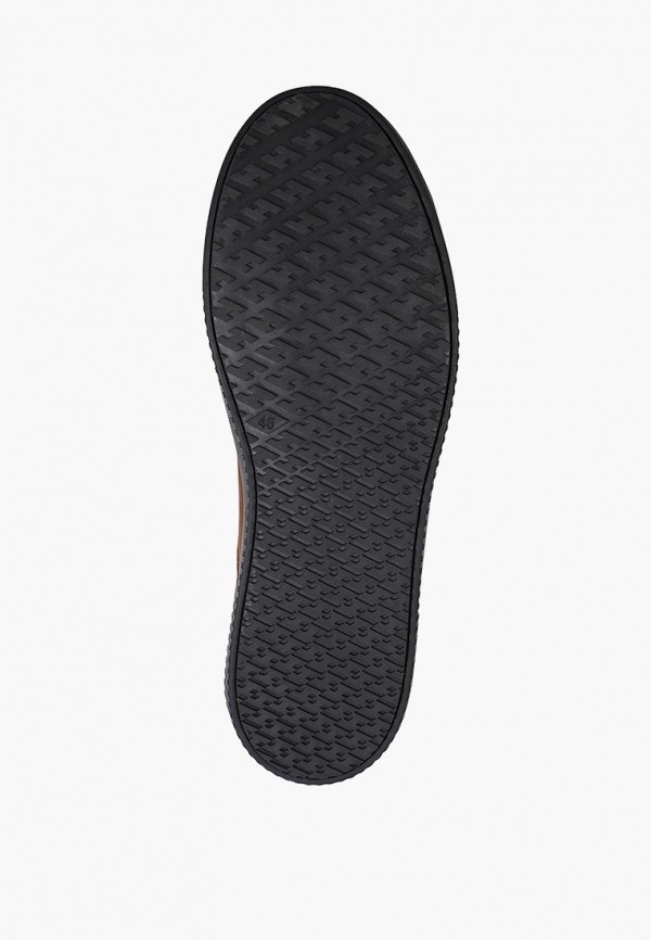 фото Кеды shoiberg