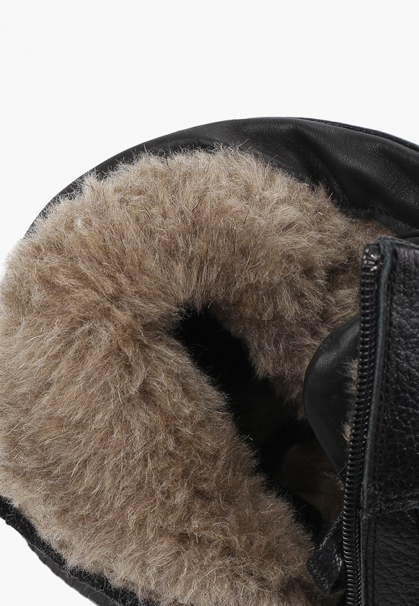 фото Кеды shoiberg