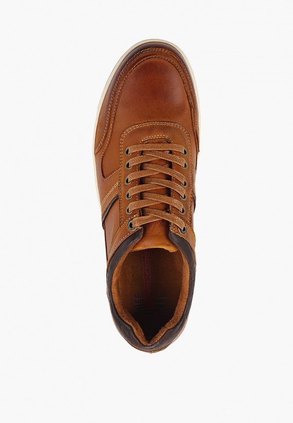 фото Кеды x-plode