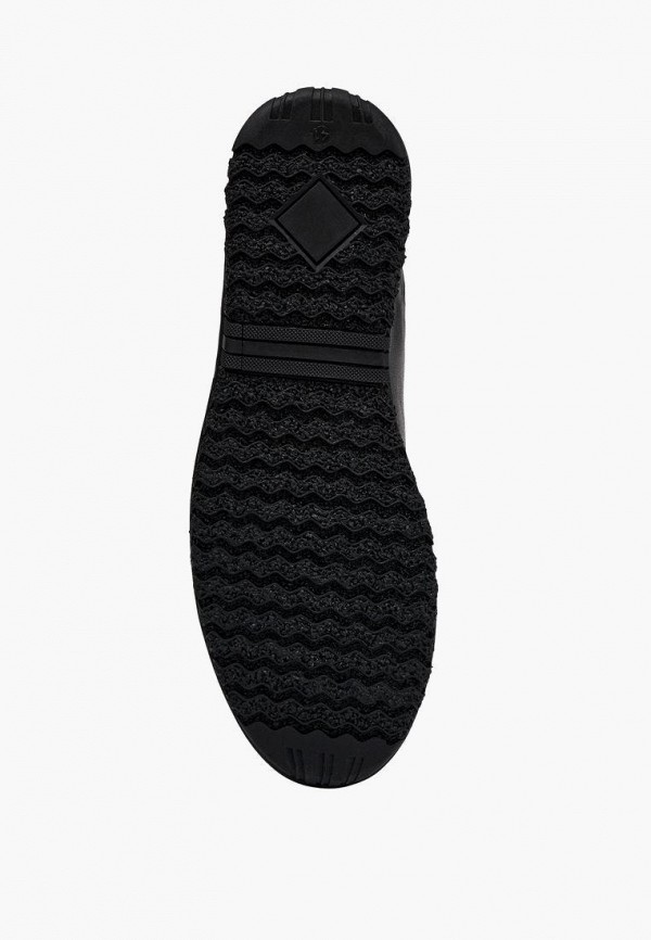 фото Кеды alessio nesca